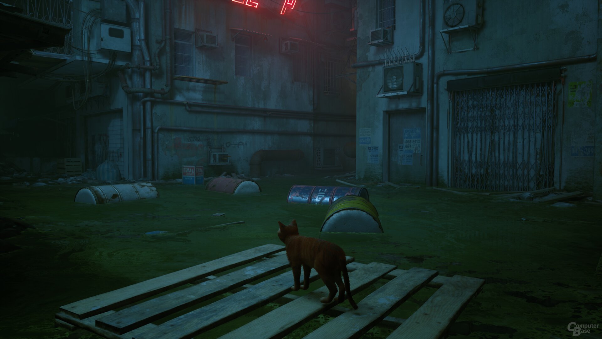 Stray im Technik-Test