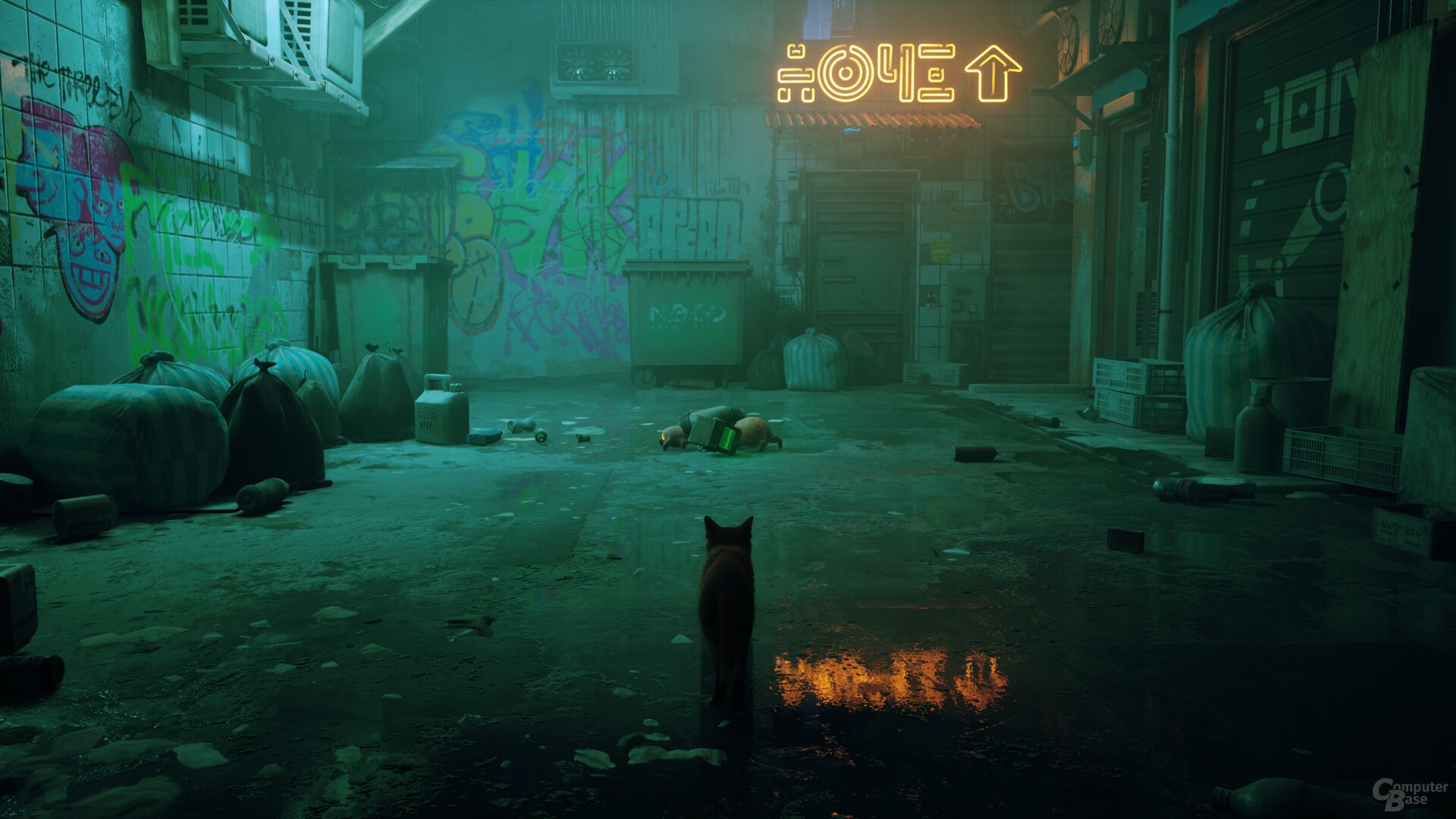 Stray im Technik-Test
