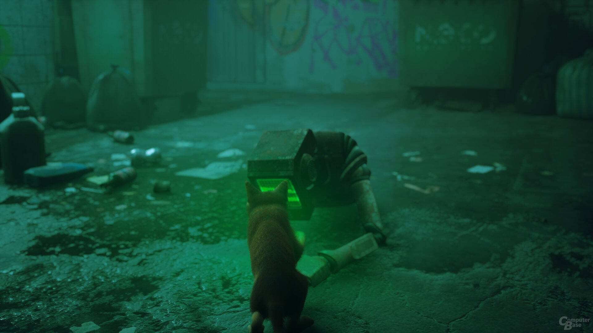 Stray im Technik-Test