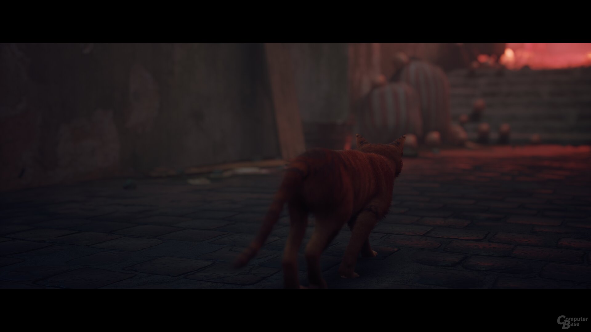 Stray im Technik-Test
