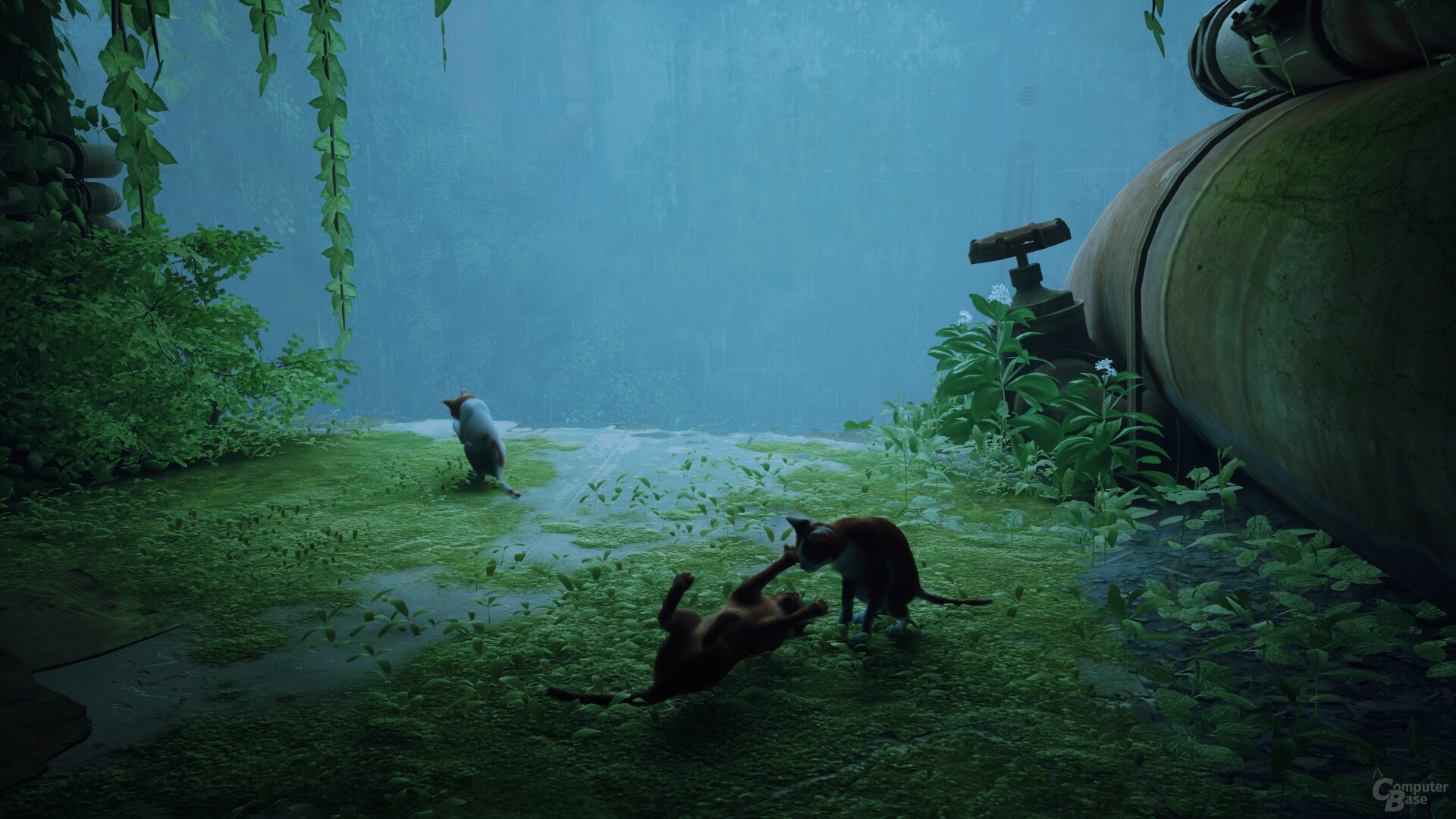 Stray im Technik-Test