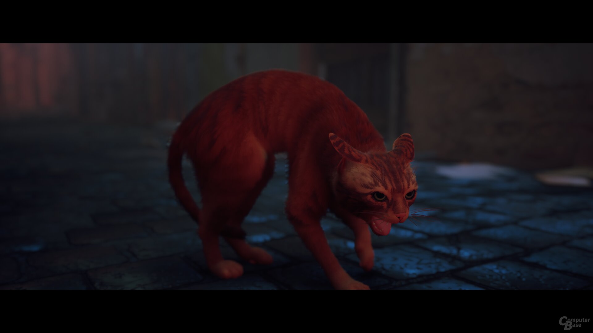 Stray im Technik-Test