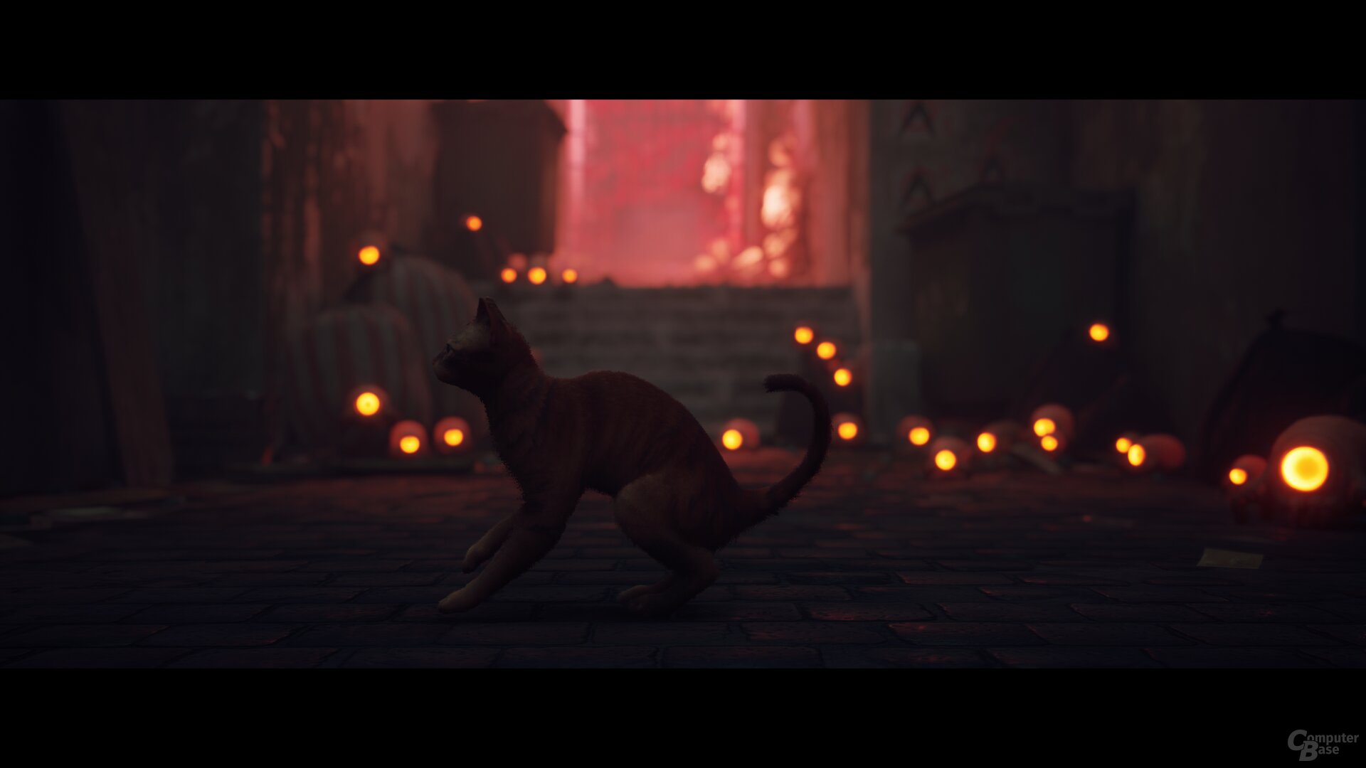 Stray im Technik-Test