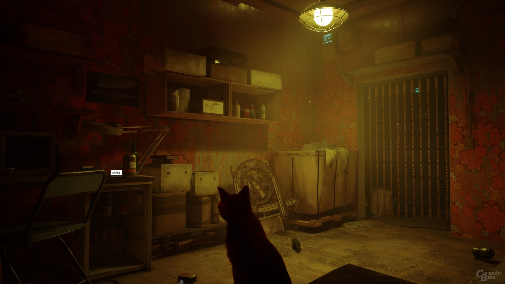Stray im Technik-Test