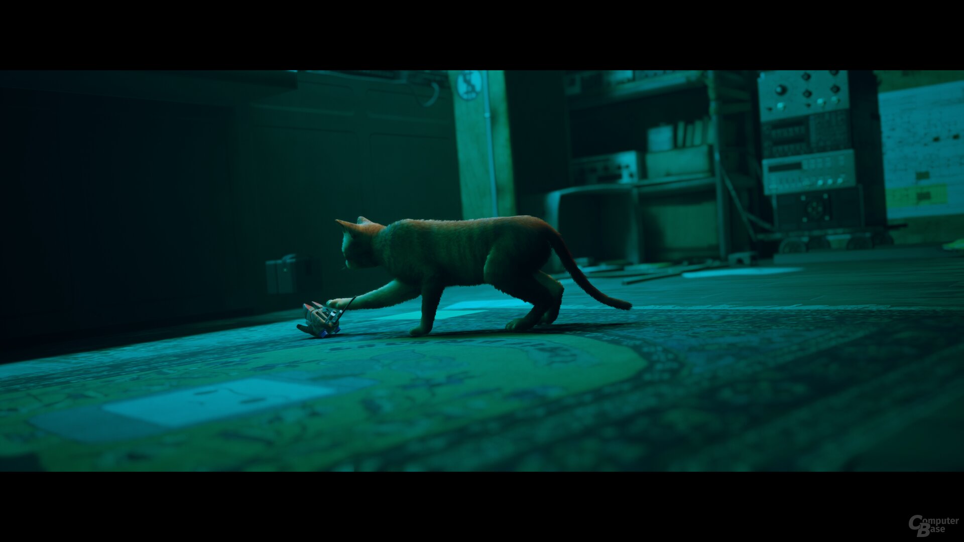 Stray im Technik-Test