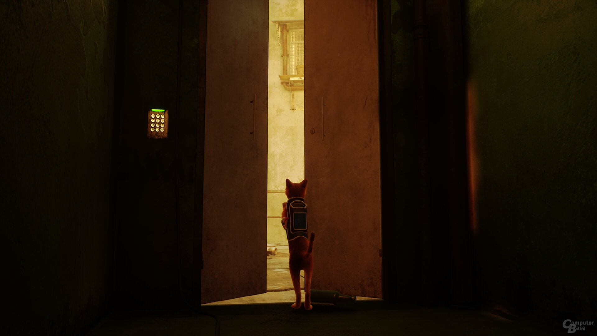 Stray im Technik-Test