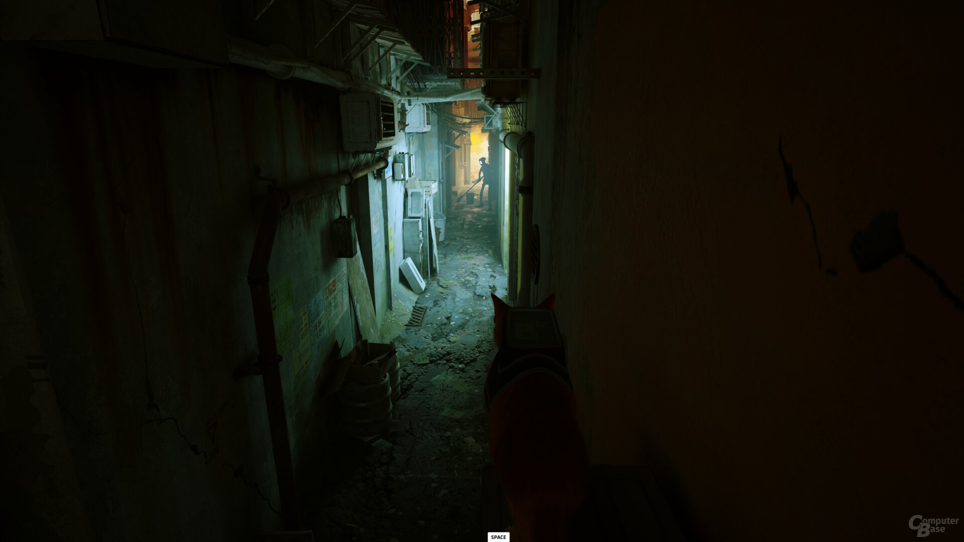 Stray im Technik-Test