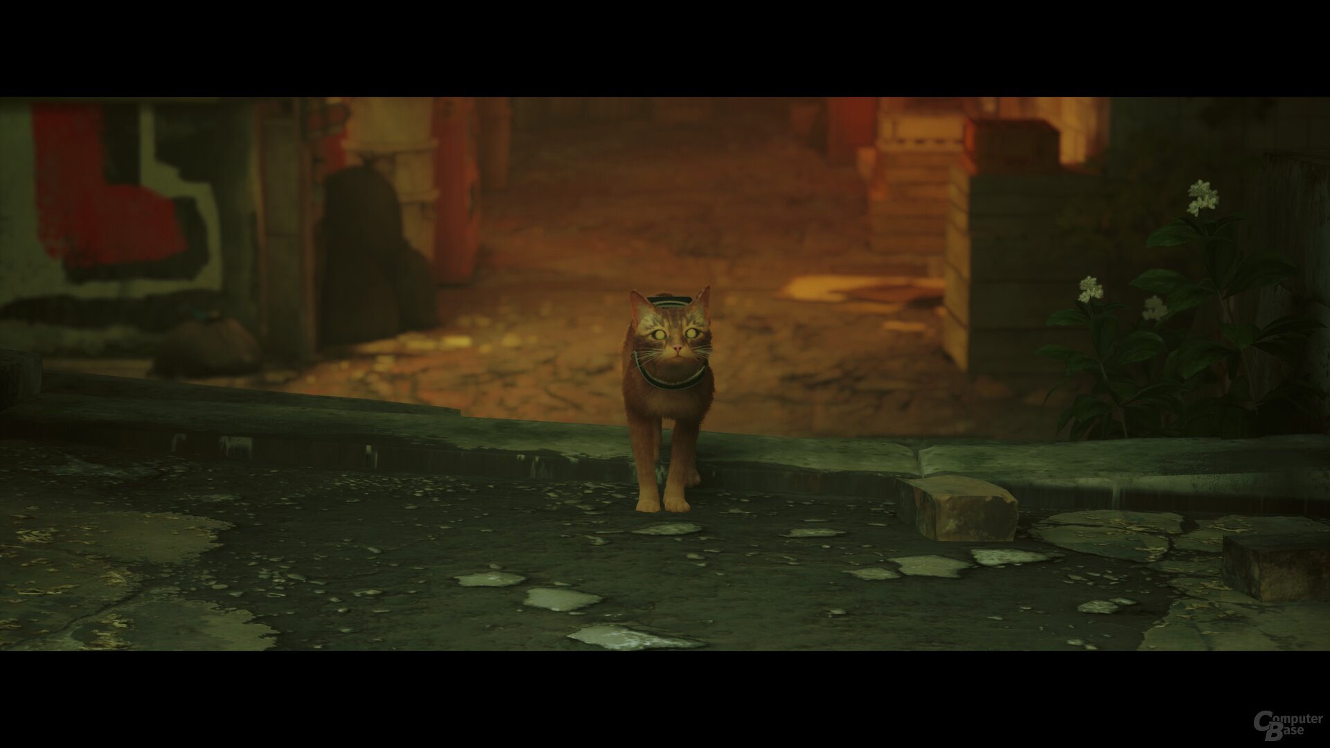 Stray im Technik-Test
