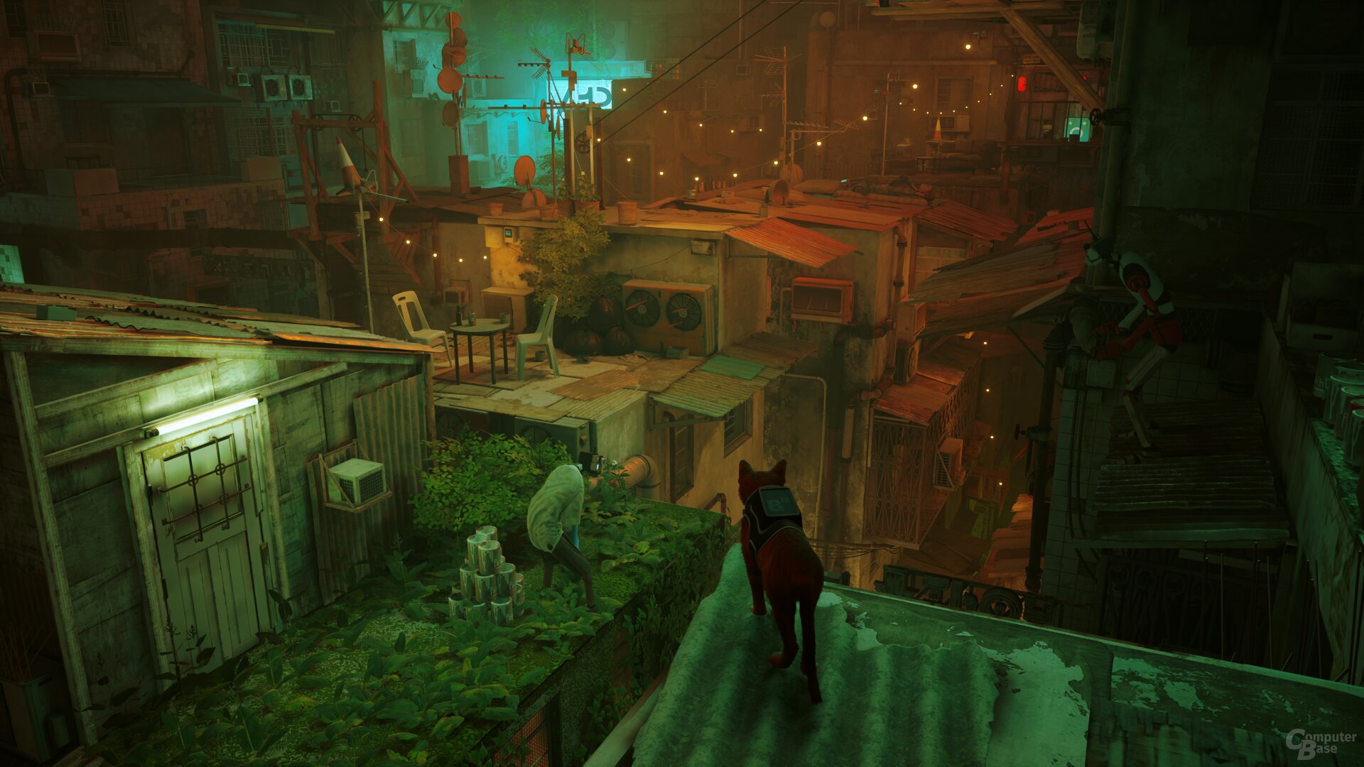 Stray im Technik-Test