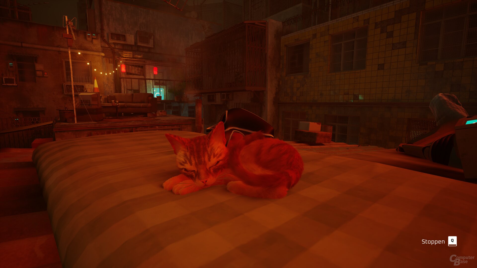 Stray im Technik-Test
