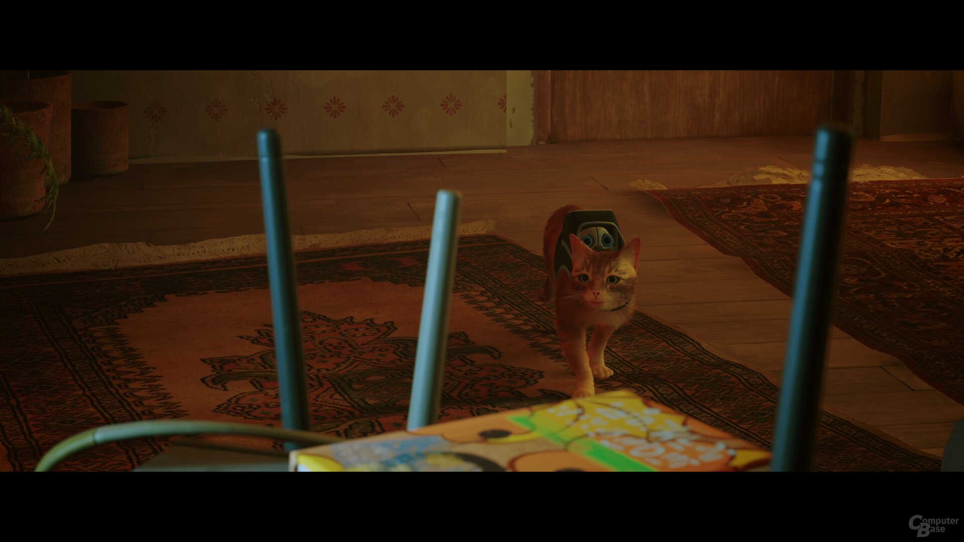 Stray im Technik-Test