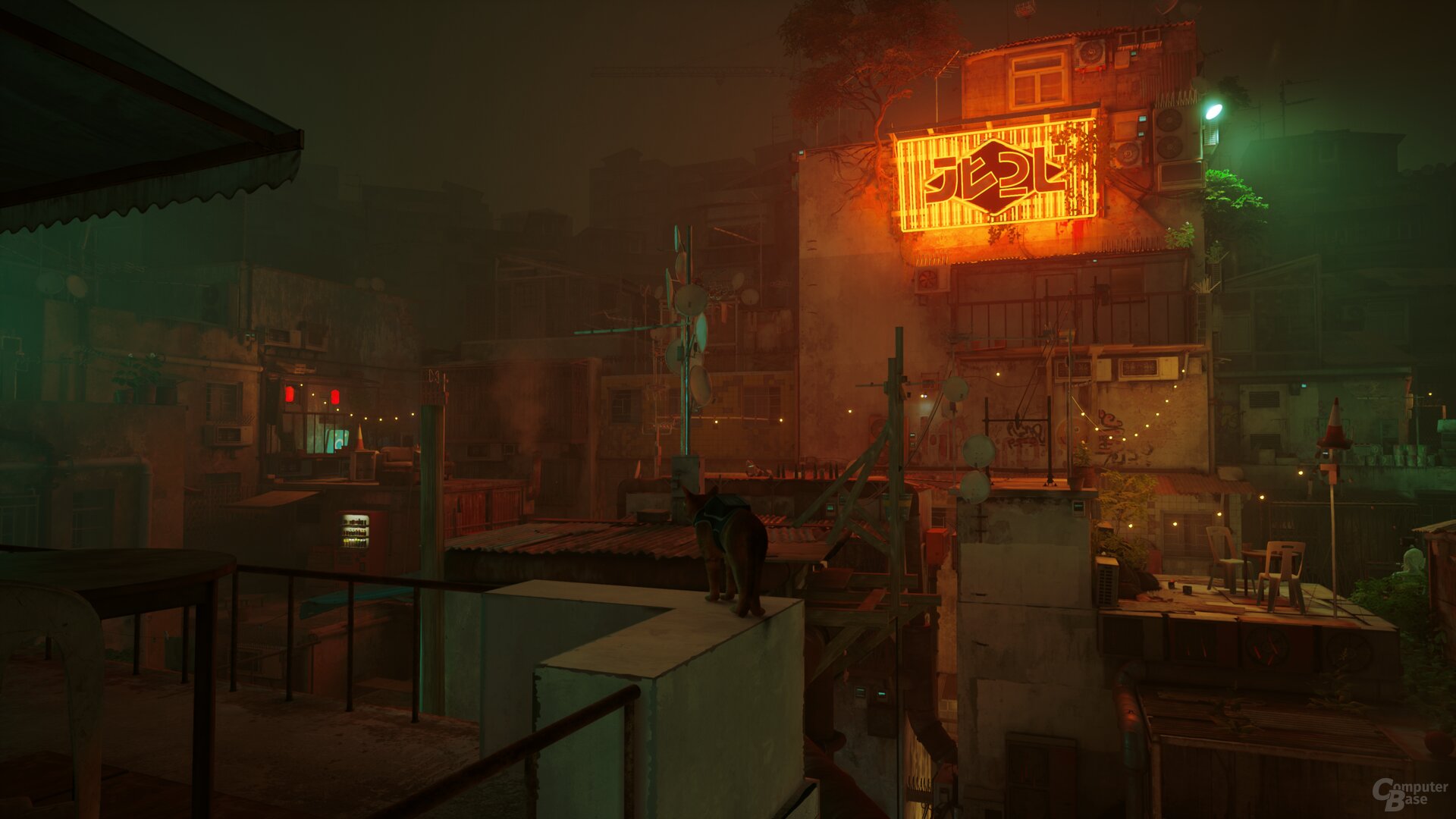 Stray im Technik-Test