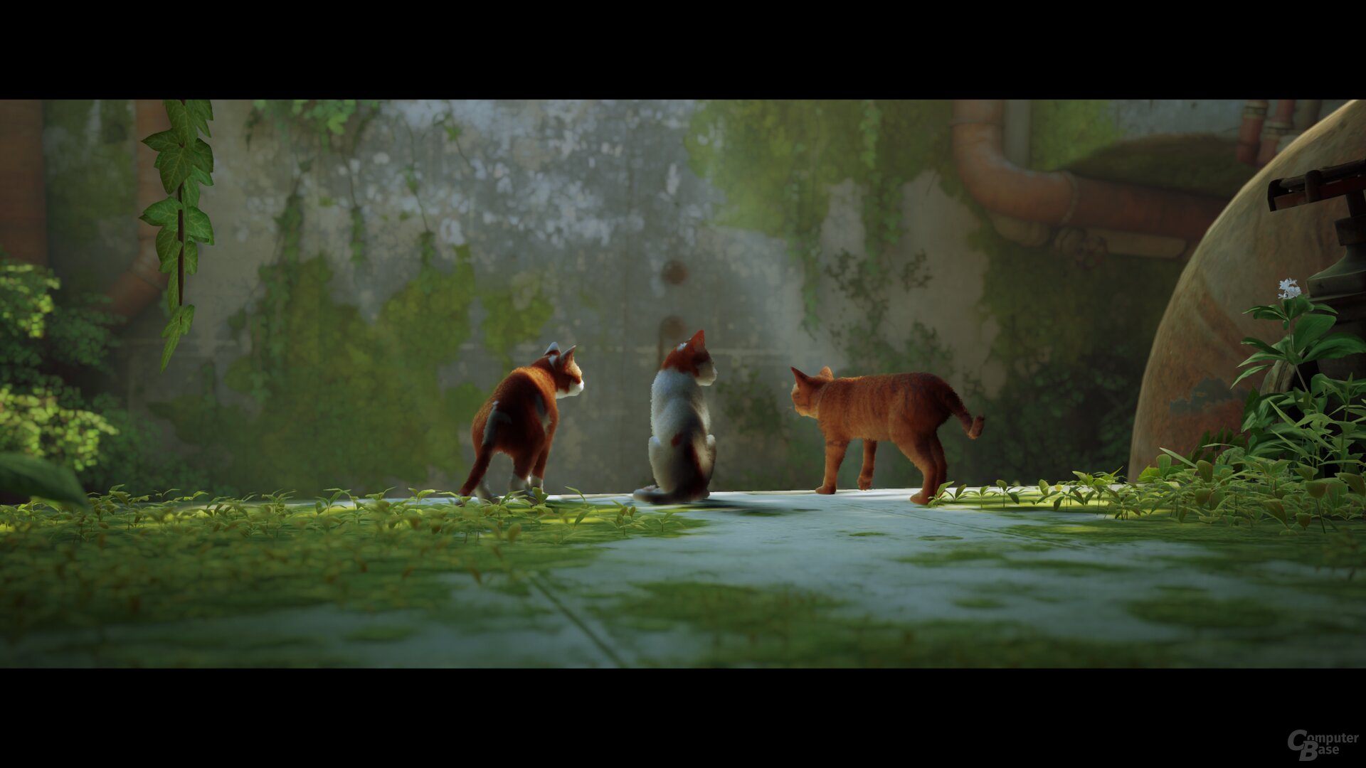 Stray im Technik-Test