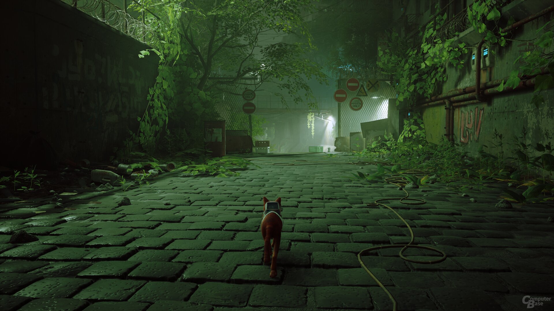 Stray im Technik-Test