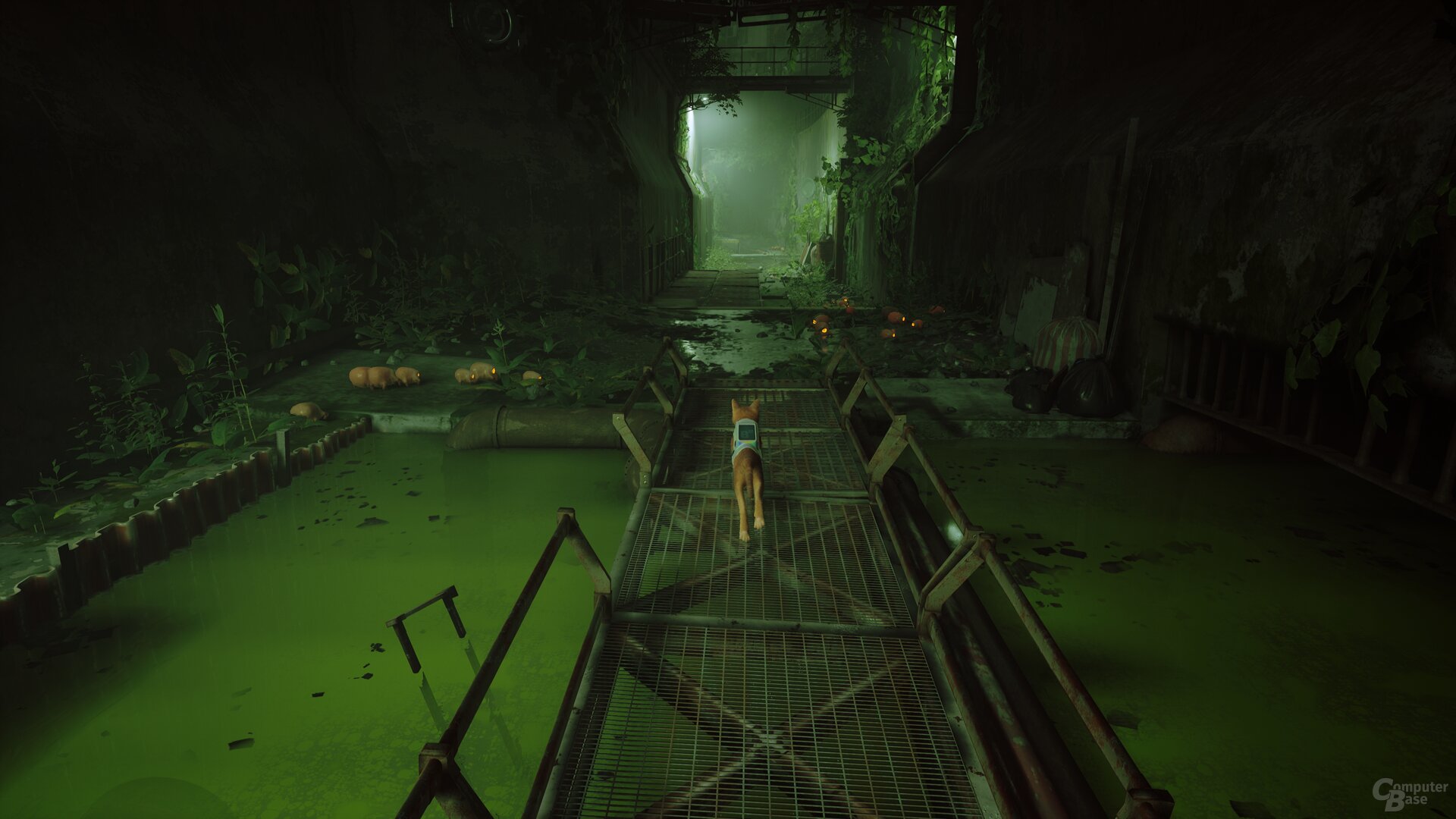 Stray im Technik-Test