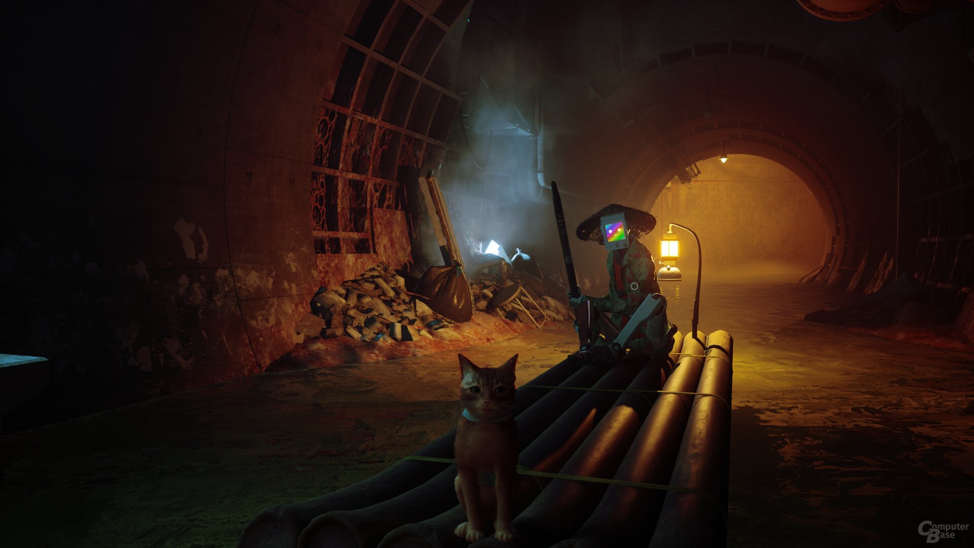 Stray im Technik-Test