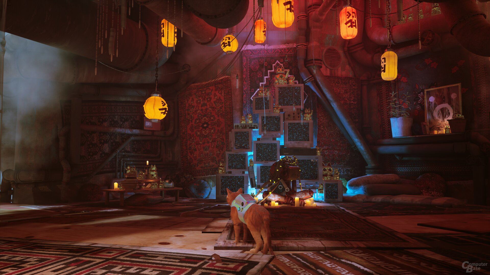Stray im Technik-Test