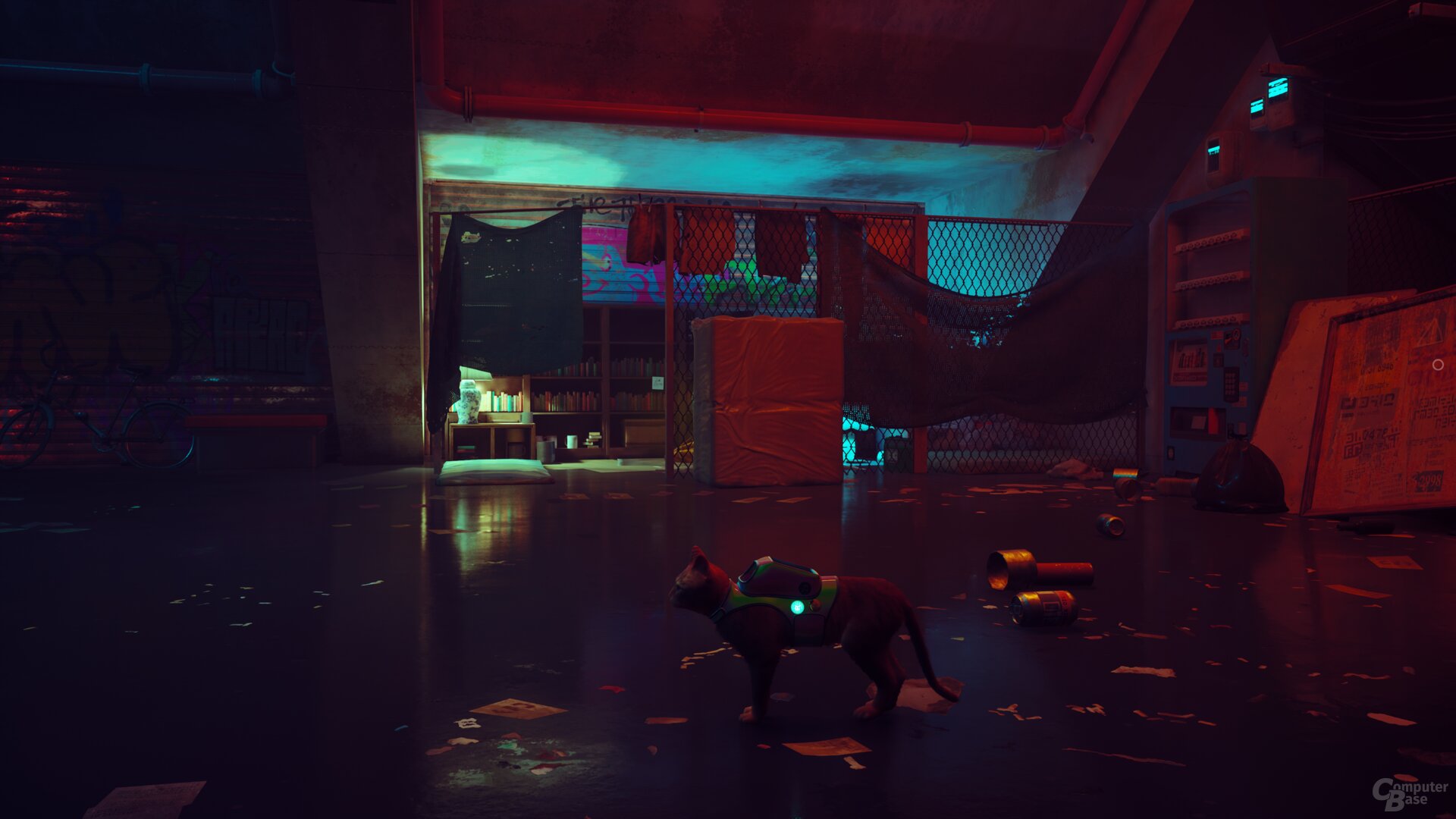 Stray im Technik-Test