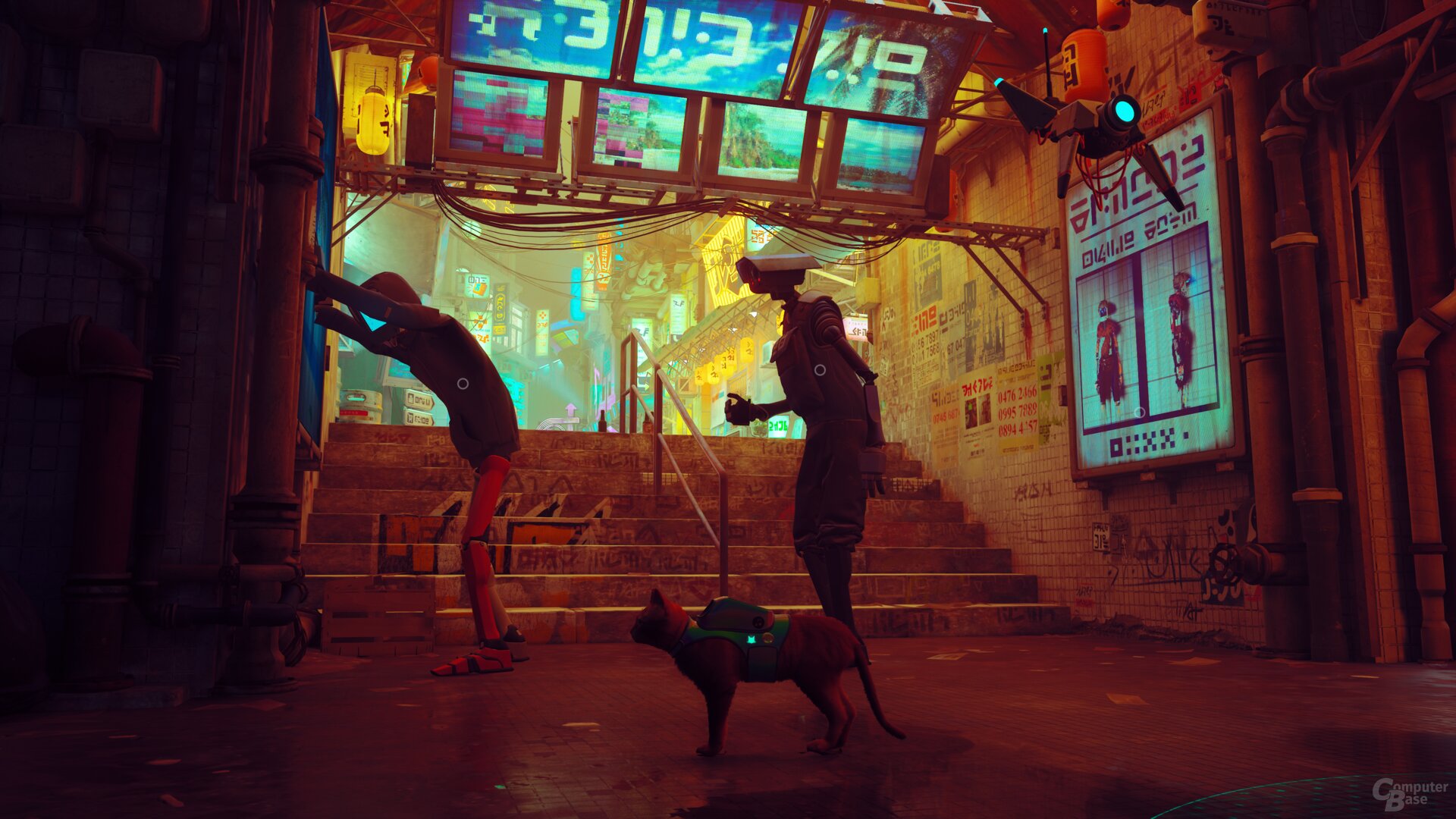 Stray im Technik-Test