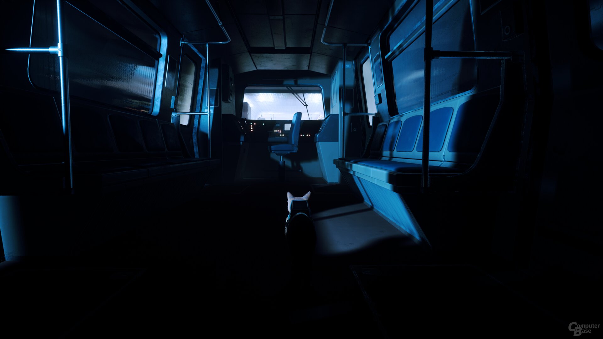 Stray im Technik-Test
