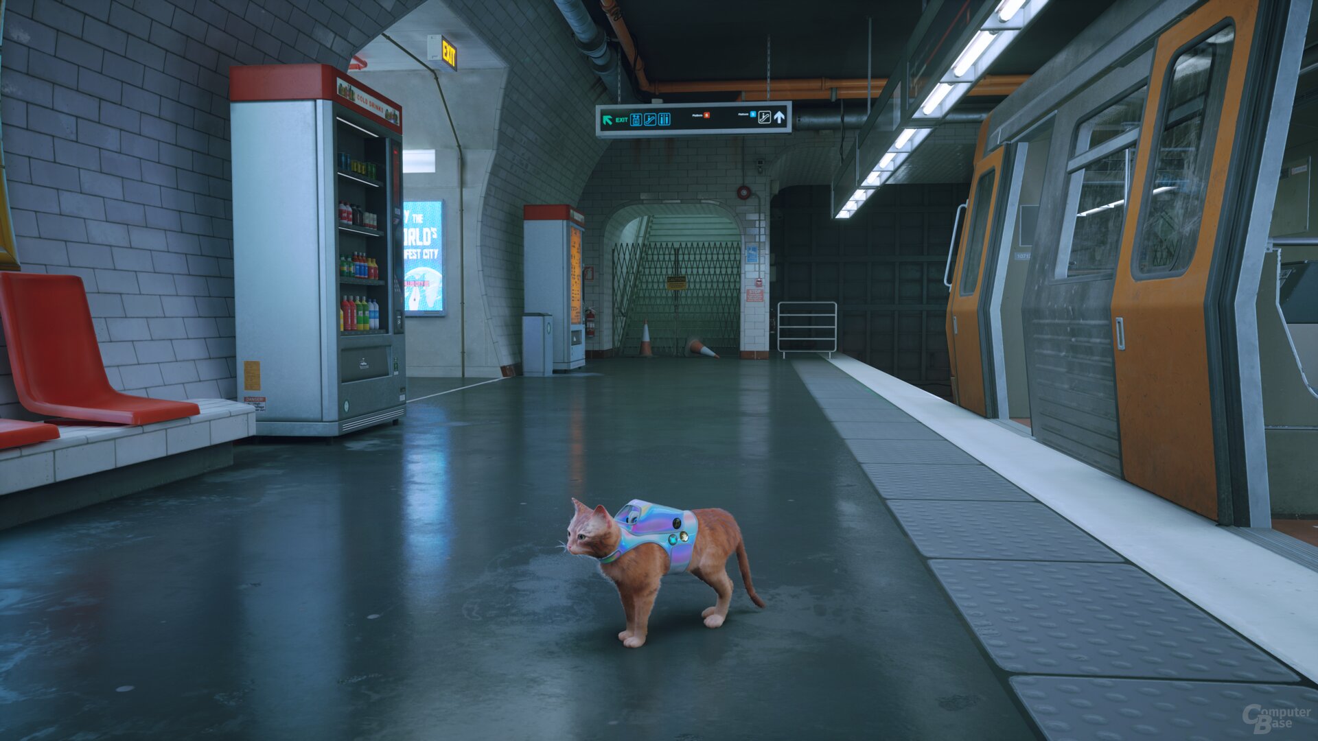 Stray im Technik-Test