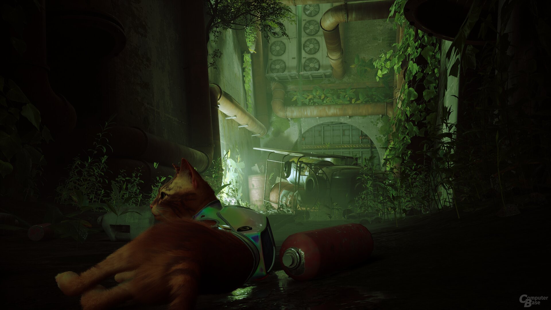 Stray im Technik-Test