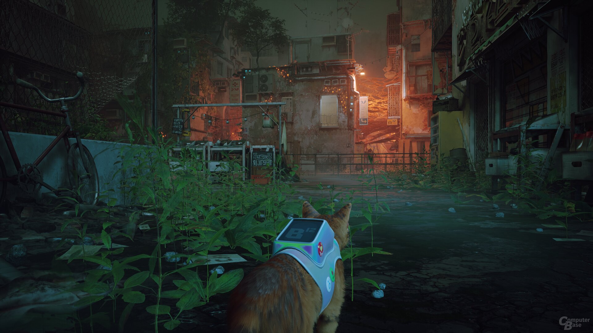 Stray im Technik-Test