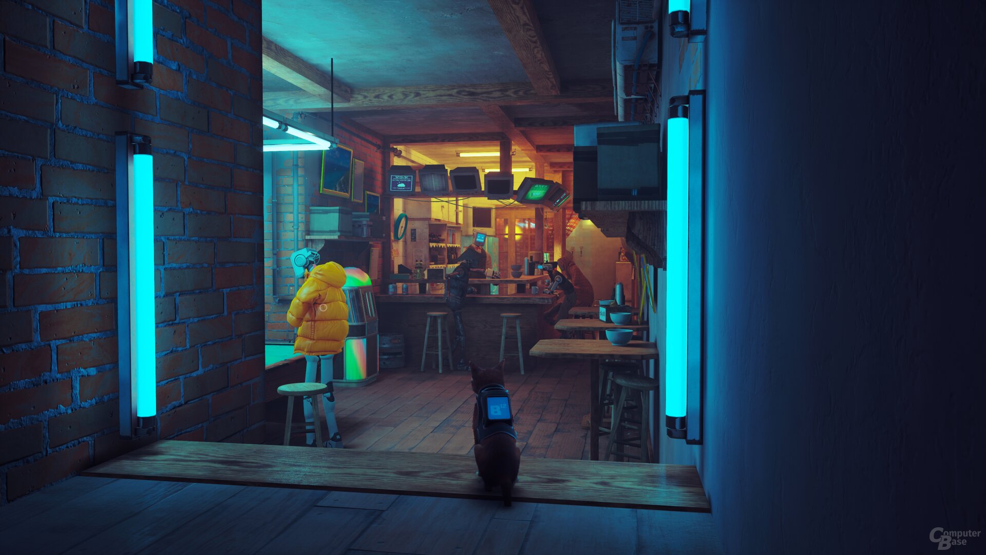 Stray im Technik-Test