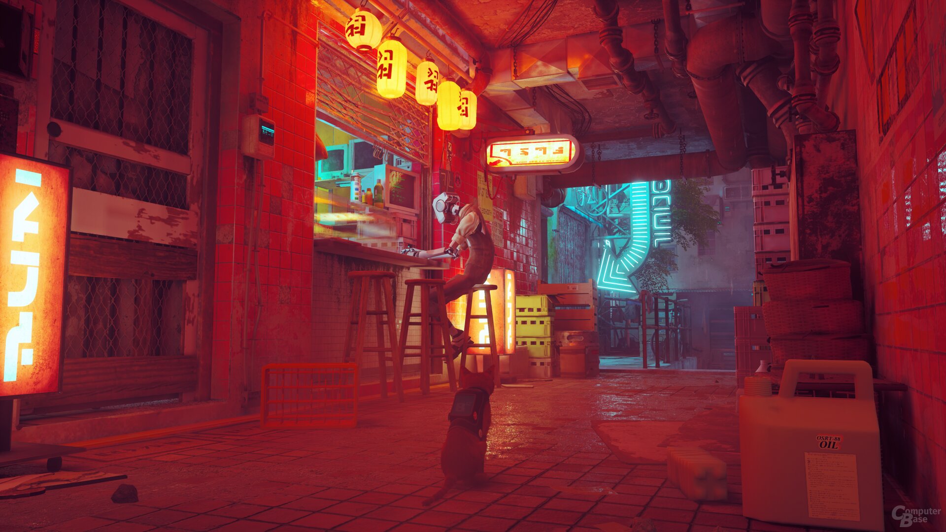 Stray im Technik-Test