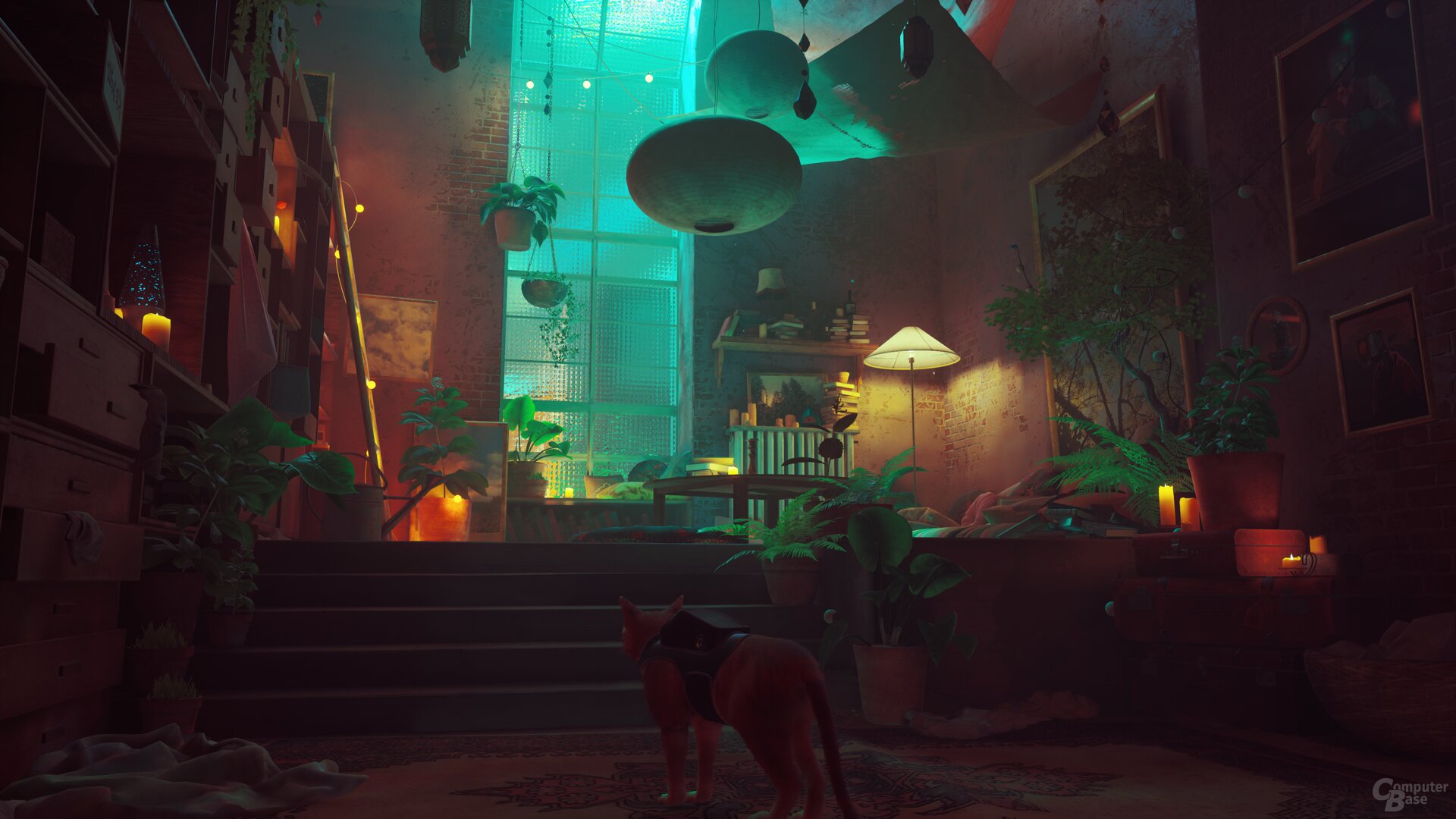 Stray im Technik-Test