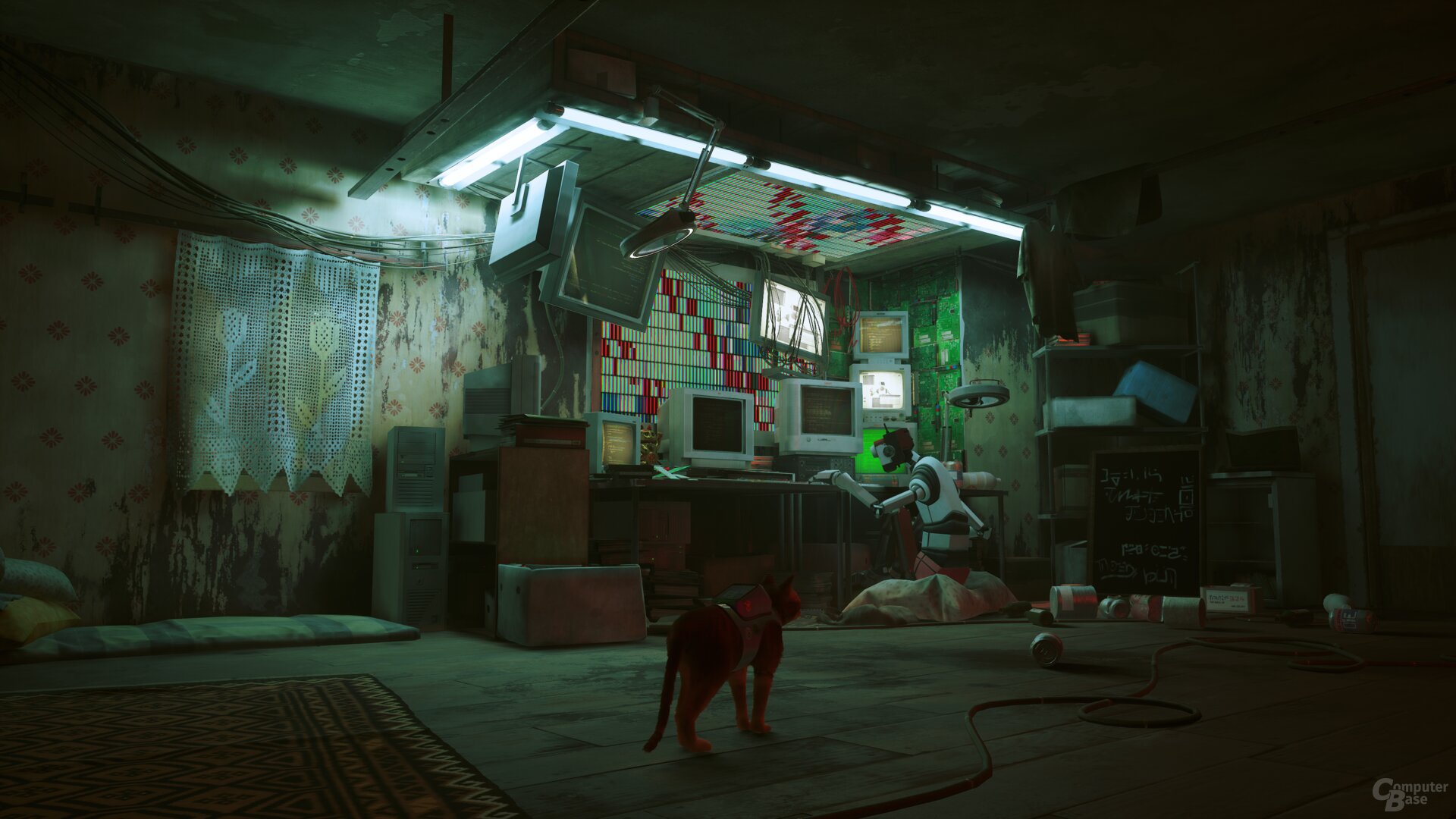Stray im Technik-Test