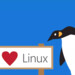 Windows-Subsystem für Linux: Kompatibilitätsschicht und deren GUI erhalten ein Update