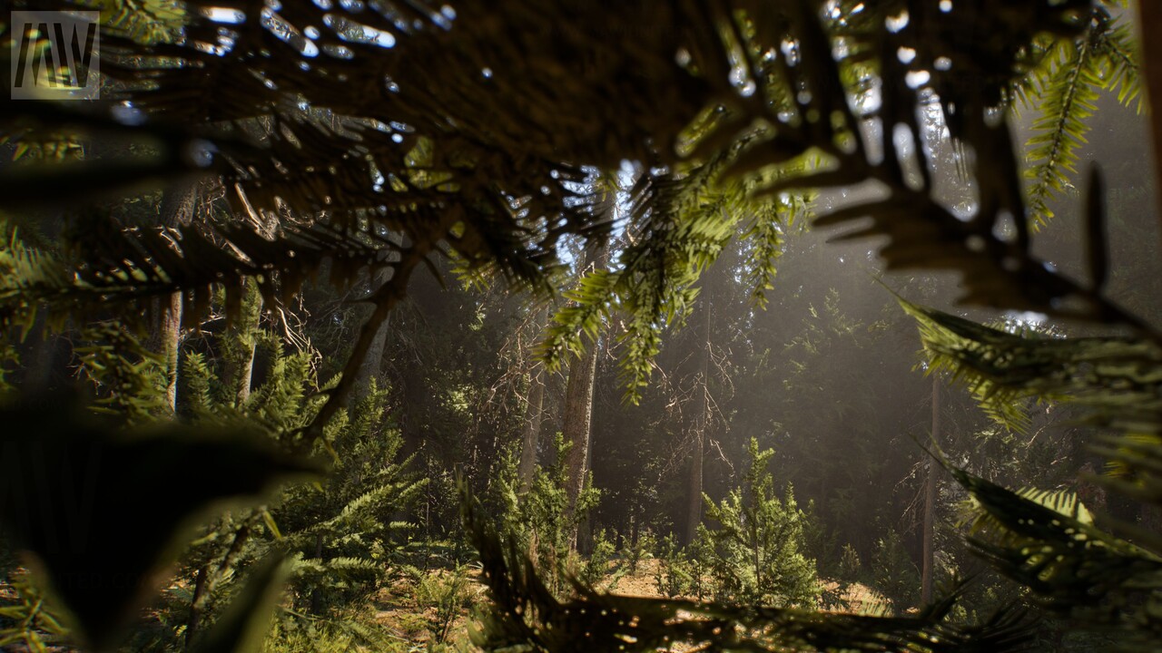 Conifer Forest Biome: Demo mit UE5-Grafikpracht als kostenloser Download