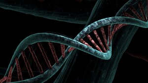 Forschung: Seagate arbeitet mit am DNA-Datenspeicher von CATALOG