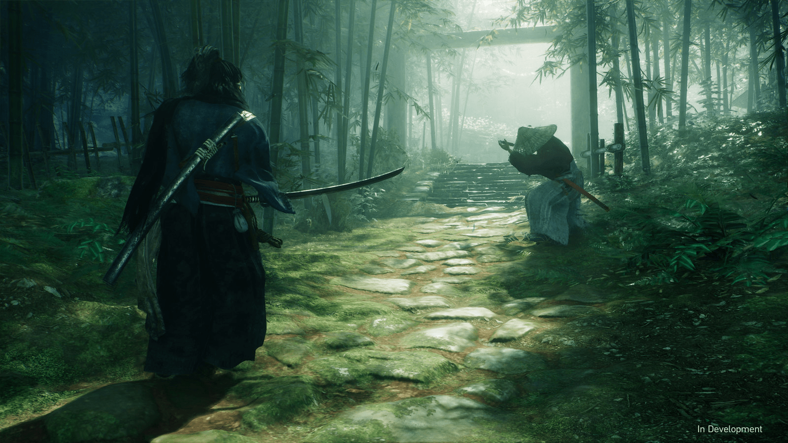 Rise of Ronin