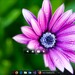 Cairo Shell 0.4.245: Der alternative Desktop für Windows 7 bis Windows 11