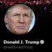 Nutzer haben entschieden: Twitter entsperrt den Account von Donald Trump