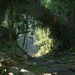 Unreal Engine 5.2: Prozedurale Landschaften lassen die Muskeln spielen