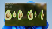 BulkLoadDemo Benchmark: Die Community testet DirectStorage 1.20 mit Avocados 🥑