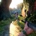 The Last of Us: Mod bringt Spieler in eine blutige Ego-Perspektive
