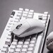 Logitech G: Neue Pro X Superlight 2 Maus und Pro X TKL Tastatur