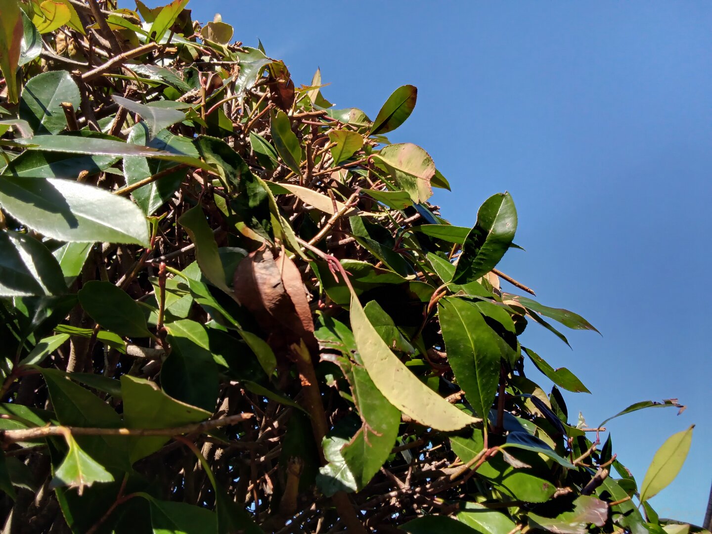 Deutsche Telekom T Tablet im Test