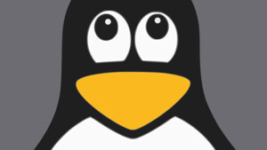 Schwachstelle in C-Bibliothek: Looney Tunables gefährdet zahlreiche Linux-Systeme