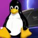 Wochenrück- und Ausblick: Spielen mit Linux und LG OLEDs mit 144 Hz