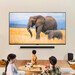 LG QNED: Preise und Termine der neuen QNED-Fernseher bis 98 Zoll