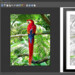 FotoSketcher 3.95: Update der Foto-Gemälde-App bringt neuen Effekt