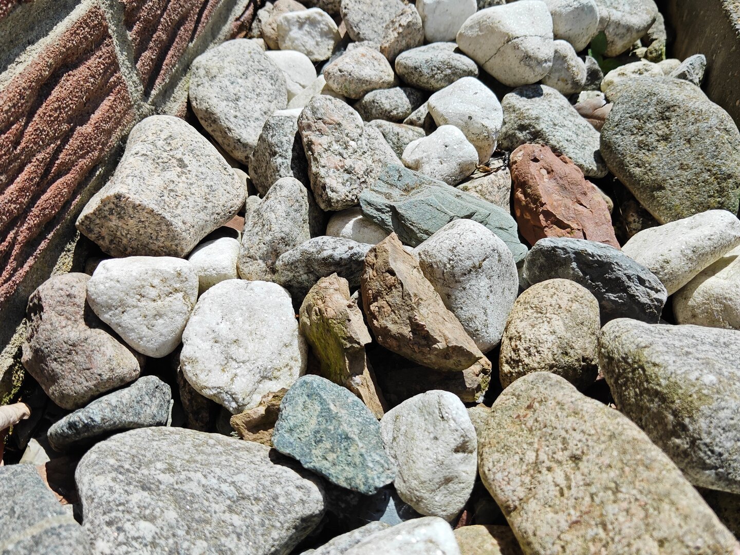 Auch Nahaufnahmen können mit dem Pad 6s Pro 12.4 gelingen