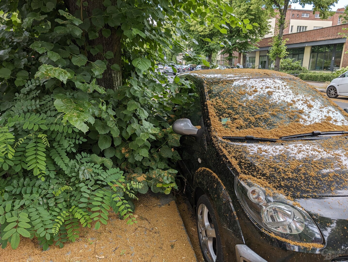 Kamera-Aufnahme mit dem Google Pixel 8