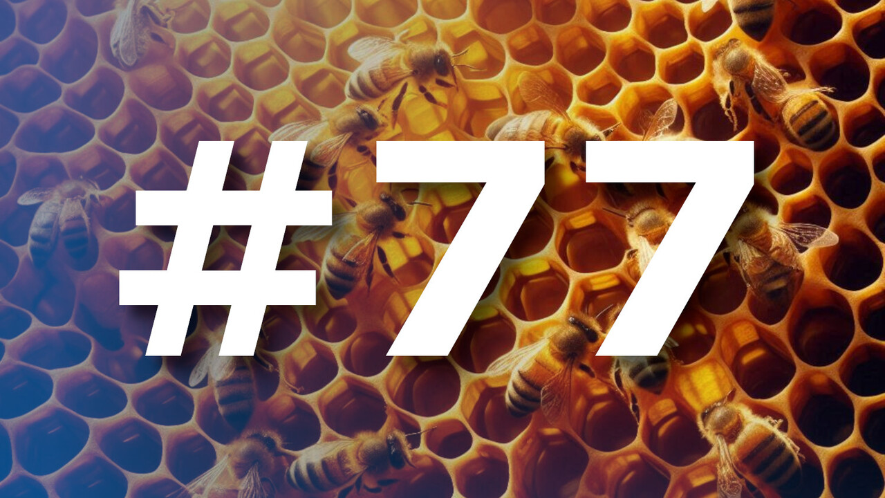 CB-Funk-Podcast #77: AVM geht zum Imker und die RTX 4070 Ti Super wird fett
