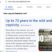Generative AI-Suche: Microsoft Bing beantwortet Suchanfragen bald mit generativer KI